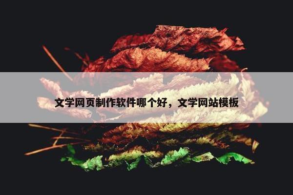 文学网页制作软件哪个好，文学网站模板