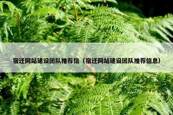 宿迁网站建设团队推荐信（宿迁网站建设团队推荐信息）