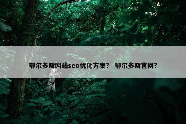 鄂尔多斯网站seo优化方案？ 鄂尔多斯官网？