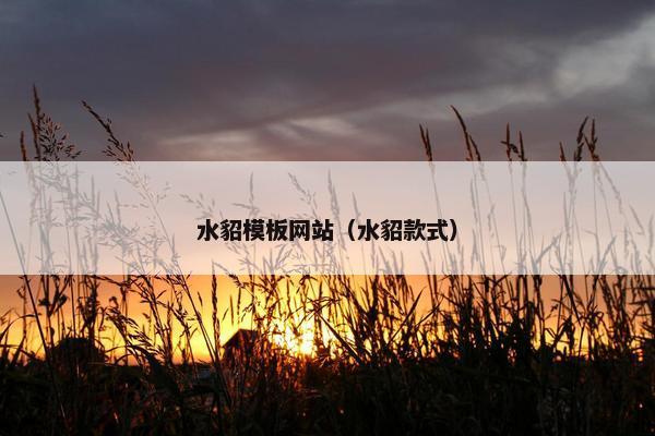 水貂模板网站（水貂款式）