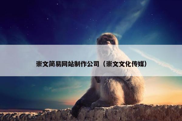 崇文简易网站制作公司（崇文文化传媒）