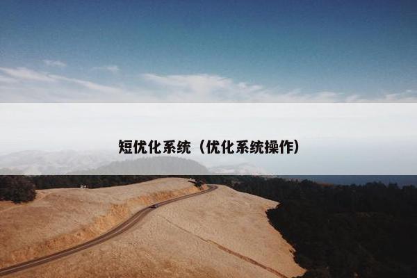 短优化系统（优化系统操作）