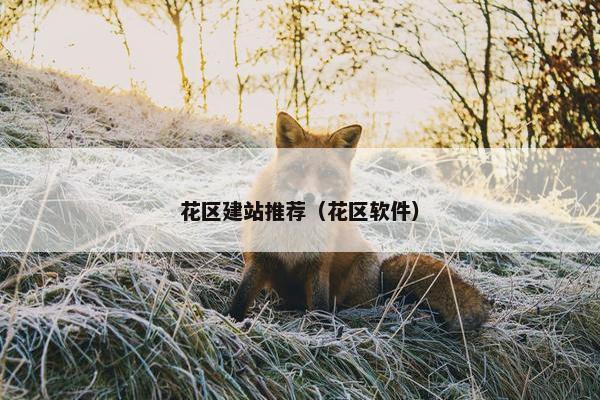 花区建站推荐（花区软件）