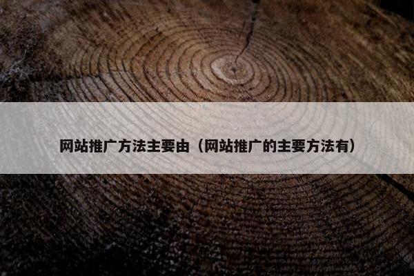 网站推广方法主要由（网站推广的主要方法有）