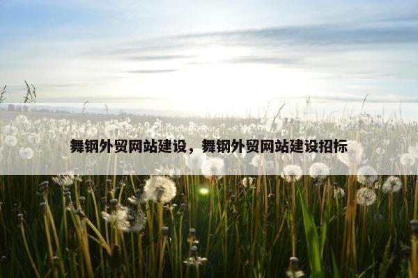 舞钢外贸网站建设，舞钢外贸网站建设招标