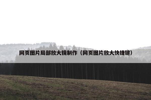 网页图片局部放大镜制作（网页图片放大快捷键）