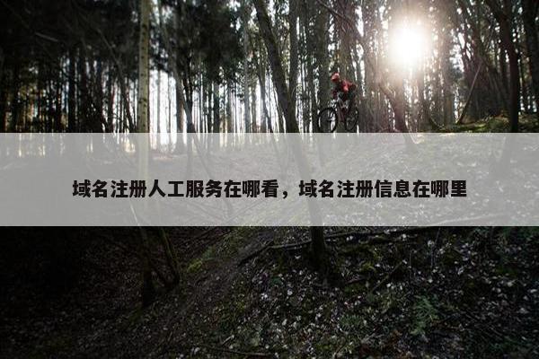 域名注册人工服务在哪看，域名注册信息在哪里