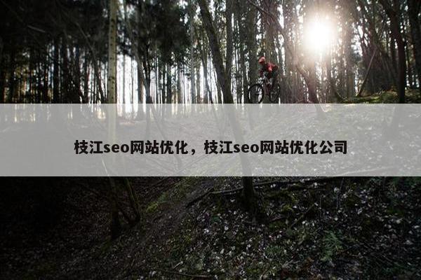 枝江seo网站优化，枝江seo网站优化公司