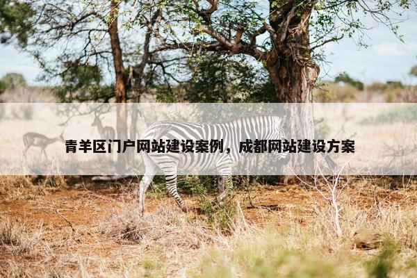 青羊区门户网站建设案例，成都网站建设方案