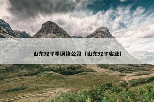 山东双子星网络公司（山东双子实业）