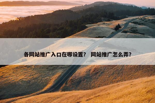 各网站推广入口在哪设置？ 网站推广怎么弄？