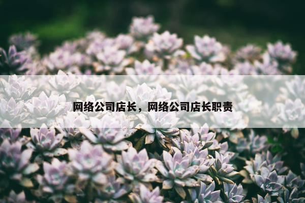 网络公司店长，网络公司店长职责