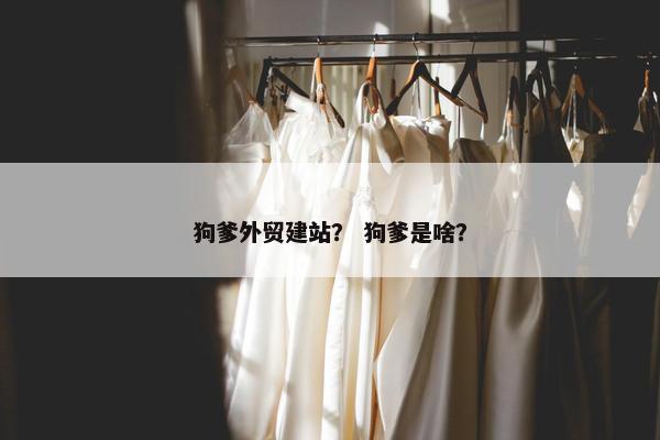 狗爹外贸建站？ 狗爹是啥？