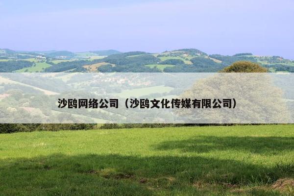沙鸥网络公司（沙鸥文化传媒有限公司）
