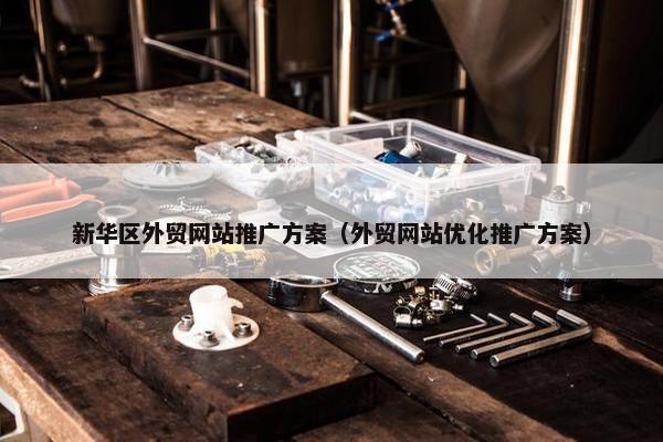 新华区外贸网站推广方案（外贸网站优化推广方案）