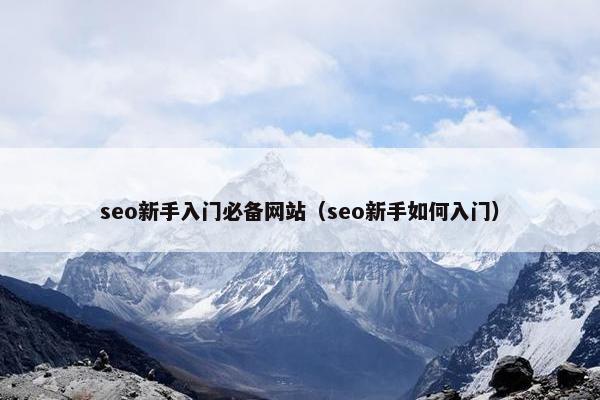 seo新手入门必备网站（seo新手如何入门）