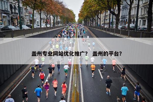 盖州专业网站优化推广？ 盖州的平台？