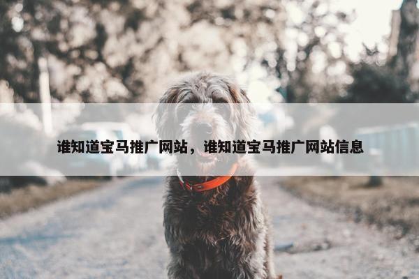 谁知道宝马推广网站，谁知道宝马推广网站信息