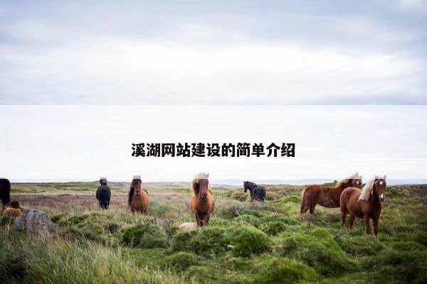 溪湖网站建设的简单介绍