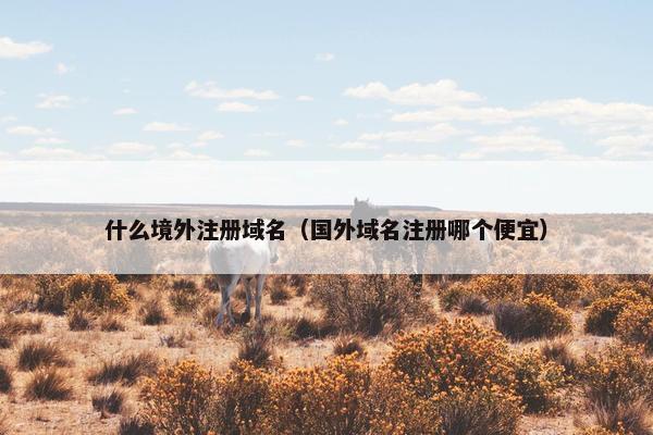 什么境外注册域名（国外域名注册哪个便宜）
