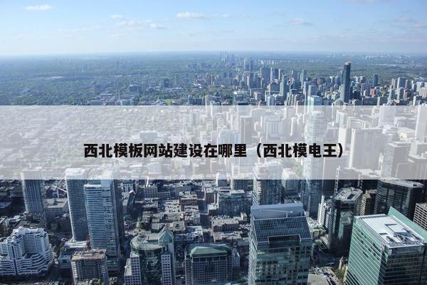 西北模板网站建设在哪里（西北模电王）