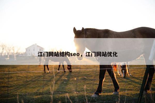 江门网站结构seo，江门网站优化