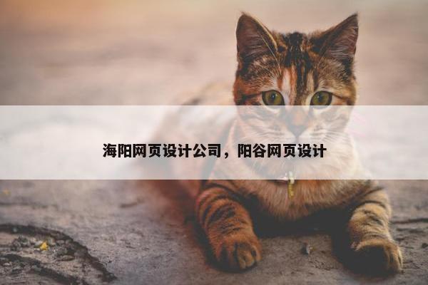 海阳网页设计公司，阳谷网页设计
