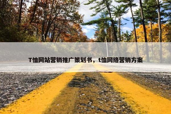 T恤网站营销推广策划书，t恤网络营销方案