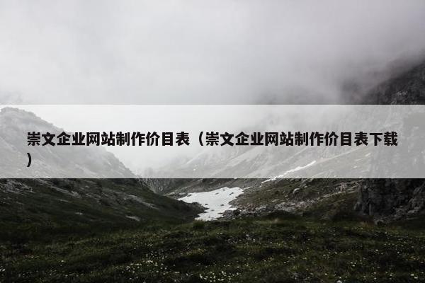 崇文企业网站制作价目表（崇文企业网站制作价目表下载）