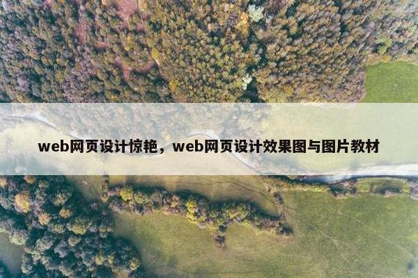 web网页设计惊艳，web网页设计效果图与图片教材
