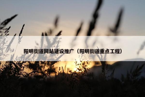 阳明街道网站建设推广（阳明街道重点工程）