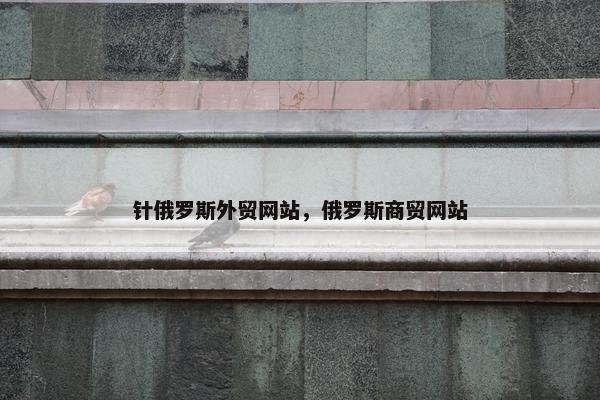 针俄罗斯外贸网站，俄罗斯商贸网站
