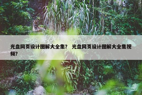 光盘网页设计图解大全集？ 光盘网页设计图解大全集视频？