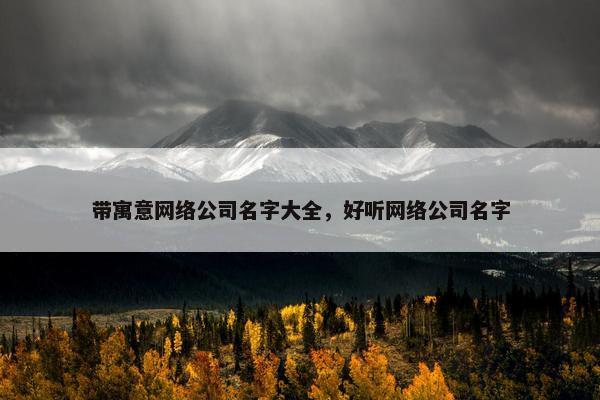 带寓意网络公司名字大全，好听网络公司名字
