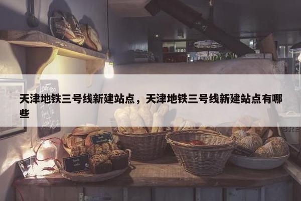 天津地铁三号线新建站点，天津地铁三号线新建站点有哪些