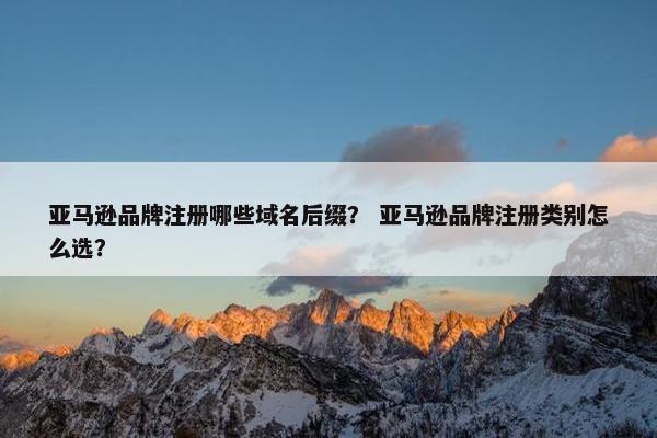 亚马逊品牌注册哪些域名后缀？ 亚马逊品牌注册类别怎么选？