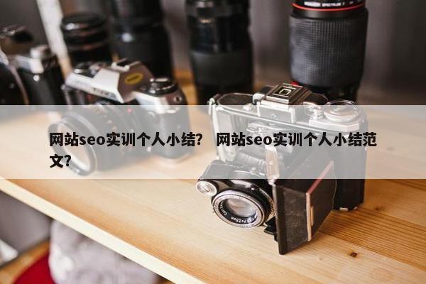 网站seo实训个人小结？ 网站seo实训个人小结范文？