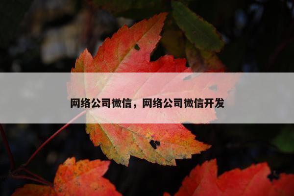 网络公司微信，网络公司微信开发