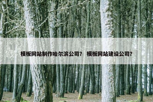 模板网站制作哈尔滨公司？ 模板网站建设公司？