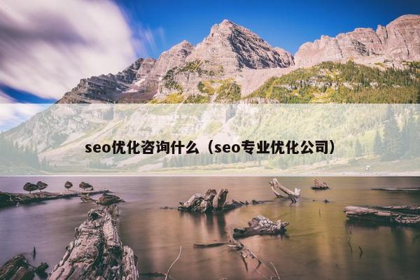 seo优化咨询什么（seo专业优化公司）