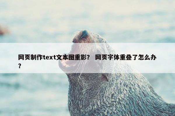 网页制作text文本图重影？ 网页字体重叠了怎么办？