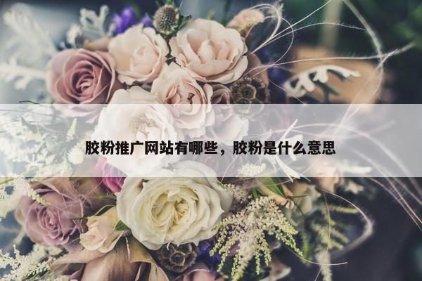 胶粉推广网站有哪些，胶粉是什么意思