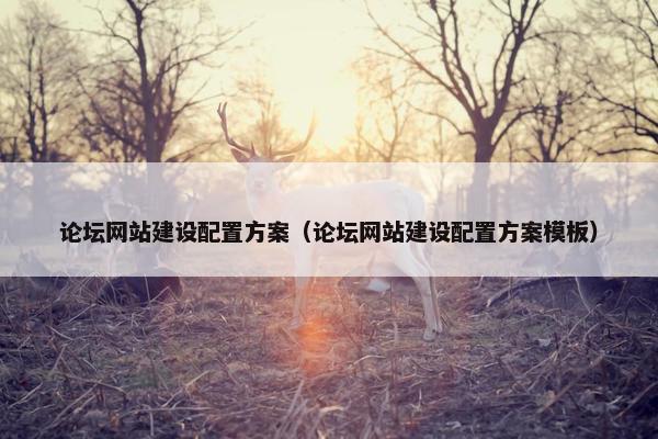 论坛网站建设配置方案（论坛网站建设配置方案模板）