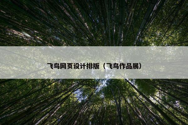 飞鸟网页设计排版（飞鸟作品展）