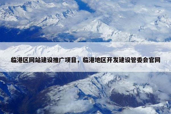 临港区网站建设推广项目，临港地区开发建设管委会官网