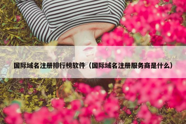 国际域名注册排行榜软件（国际域名注册服务商是什么）
