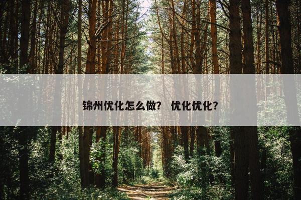 锦州优化怎么做？ 优化优化？
