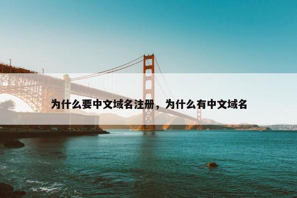 为什么要中文域名注册，为什么有中文域名
