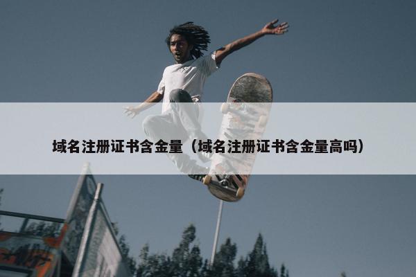 域名注册证书含金量（域名注册证书含金量高吗）