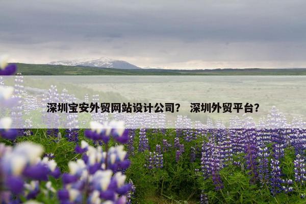 深圳宝安外贸网站设计公司？ 深圳外贸平台？
